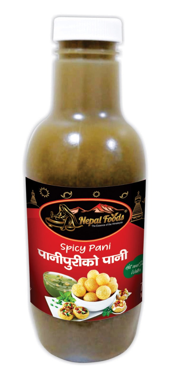 Pani Puri Water (Spicy Pudina Pani ) 750ml image 0