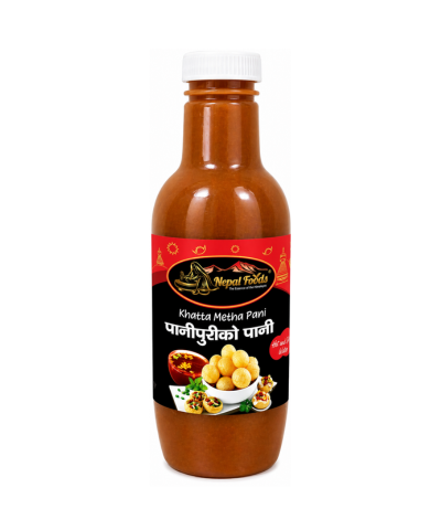 Pani Puri Water – Spicy Pudina Pani 750ml | Buy in UK