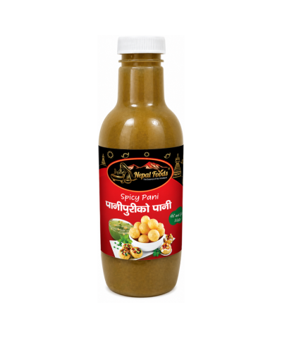 Pani Puri Water – Spicy Pudina Pani 750ml | Buy in UK