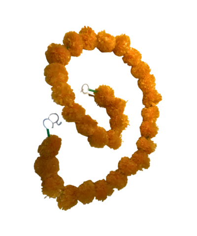 Orange flower garland on a white background