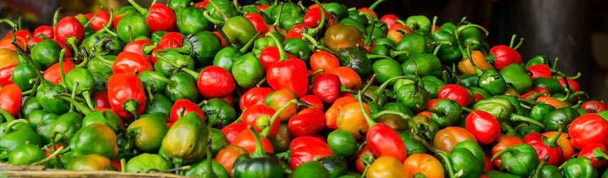 Fresh Akbare Chilly 1Kg – authentic Nepali product available in the UK